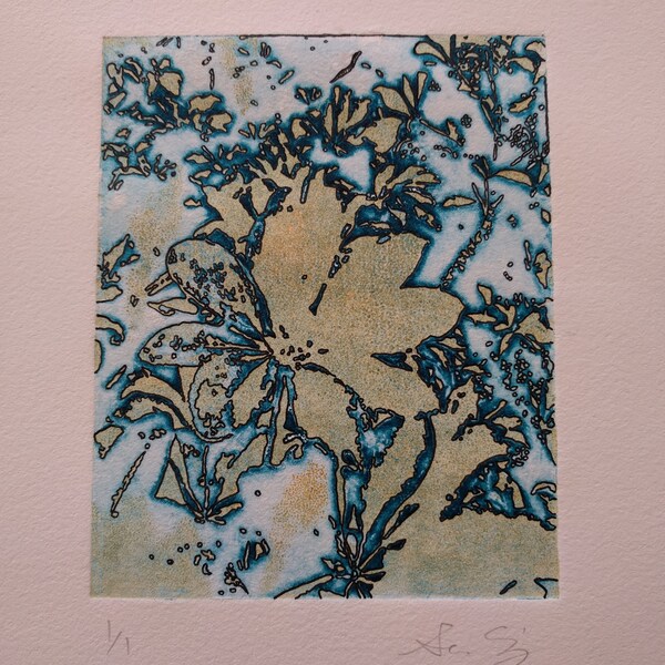 Solar Plate Etching Etsy