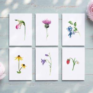 May include: A set of six rectangular white cards featuring watercolor illustrations of various botanical subjects, including a pink lady slipper, a purple thistle, blue berries, yellow coneflowers, purple bellflowers, and a red strawberry.