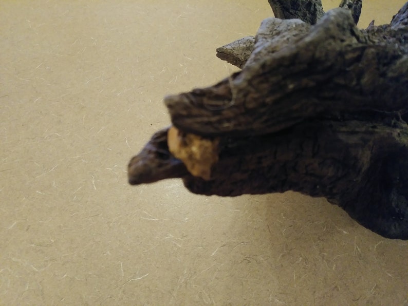 Natural Driftwood