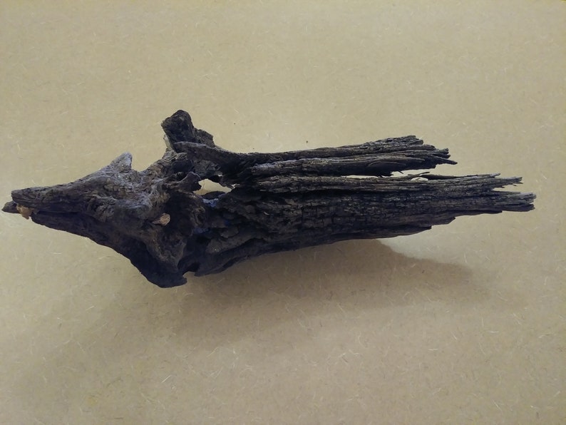 Natural Driftwood