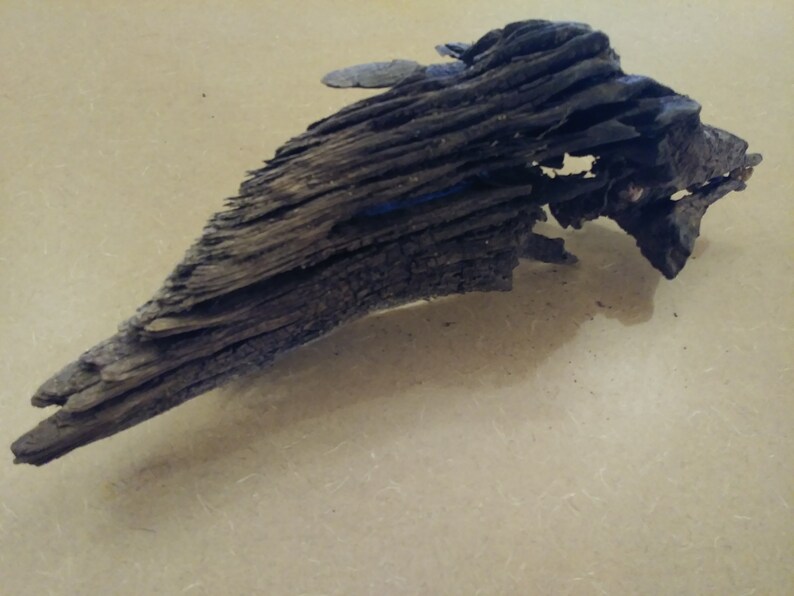 Natural Driftwood