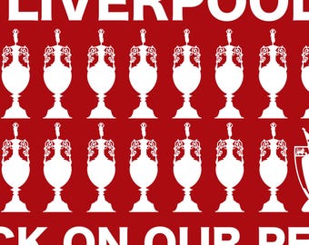 5 ft x 3 ft Flagge | YWNA 20 Titel | League of Legends 24/25 | LFC