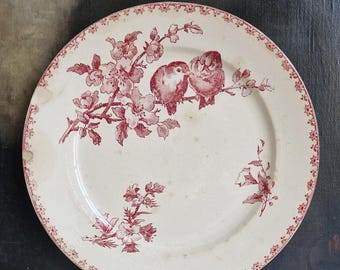 Plato antiguo plato de cena Favori Sarreguemines Shabby motivo de pájaro decoración vintage francesa