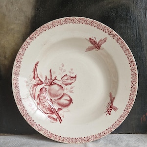 Prato de sopa antigo Choisy le roi com insetos Terre de fer Shabby vintage da França
