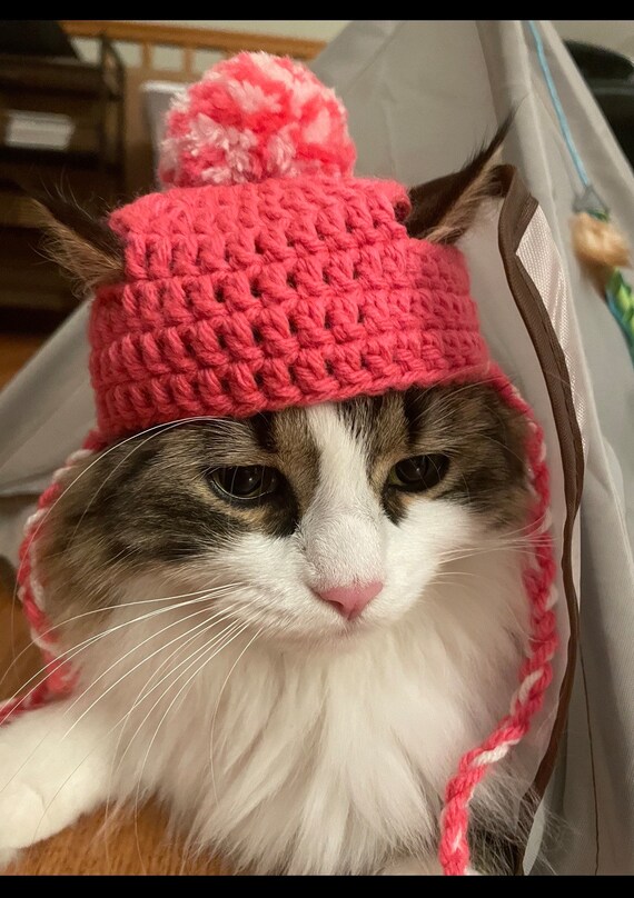 Cat on sale winter hat