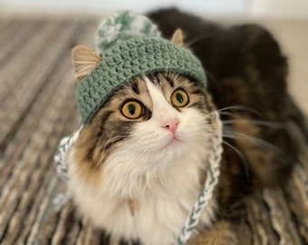 Cat Beanie Winter Hat Crochet