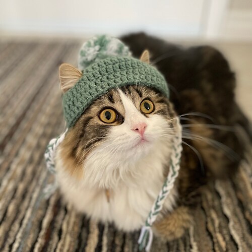 Cat Turkey Hat Crochet Pattern Crochet PDF Pattern Dog Etsy