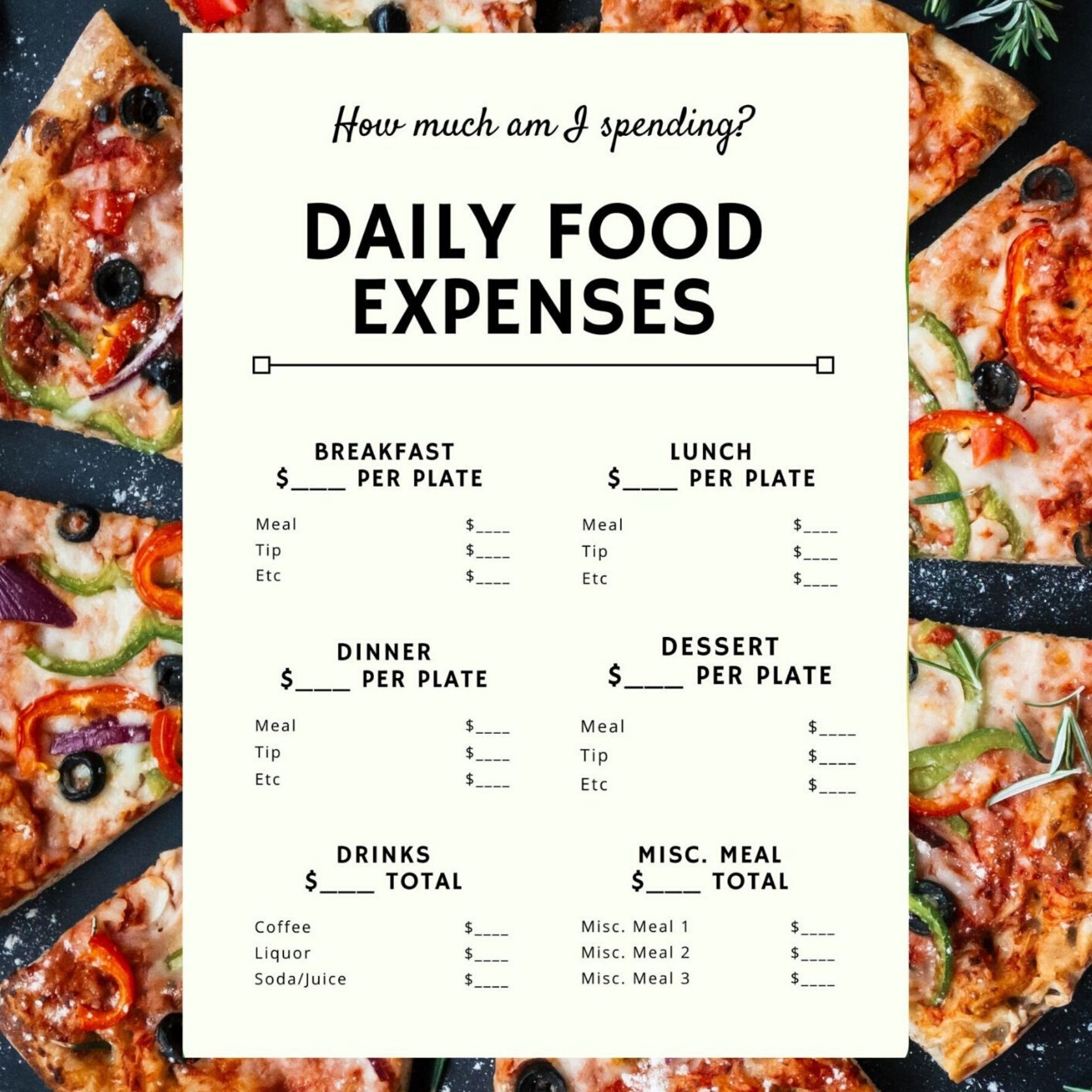 Daily Food Expense Tracker Template Printable Daily Budget Etsy