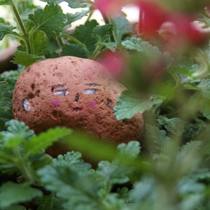 Può includere: Primo piano di una pietra dipinta con un viso, nascosta tra foglie verdi. La pietra ha una base marrone con occhi blu dipinti e un blush rosa.