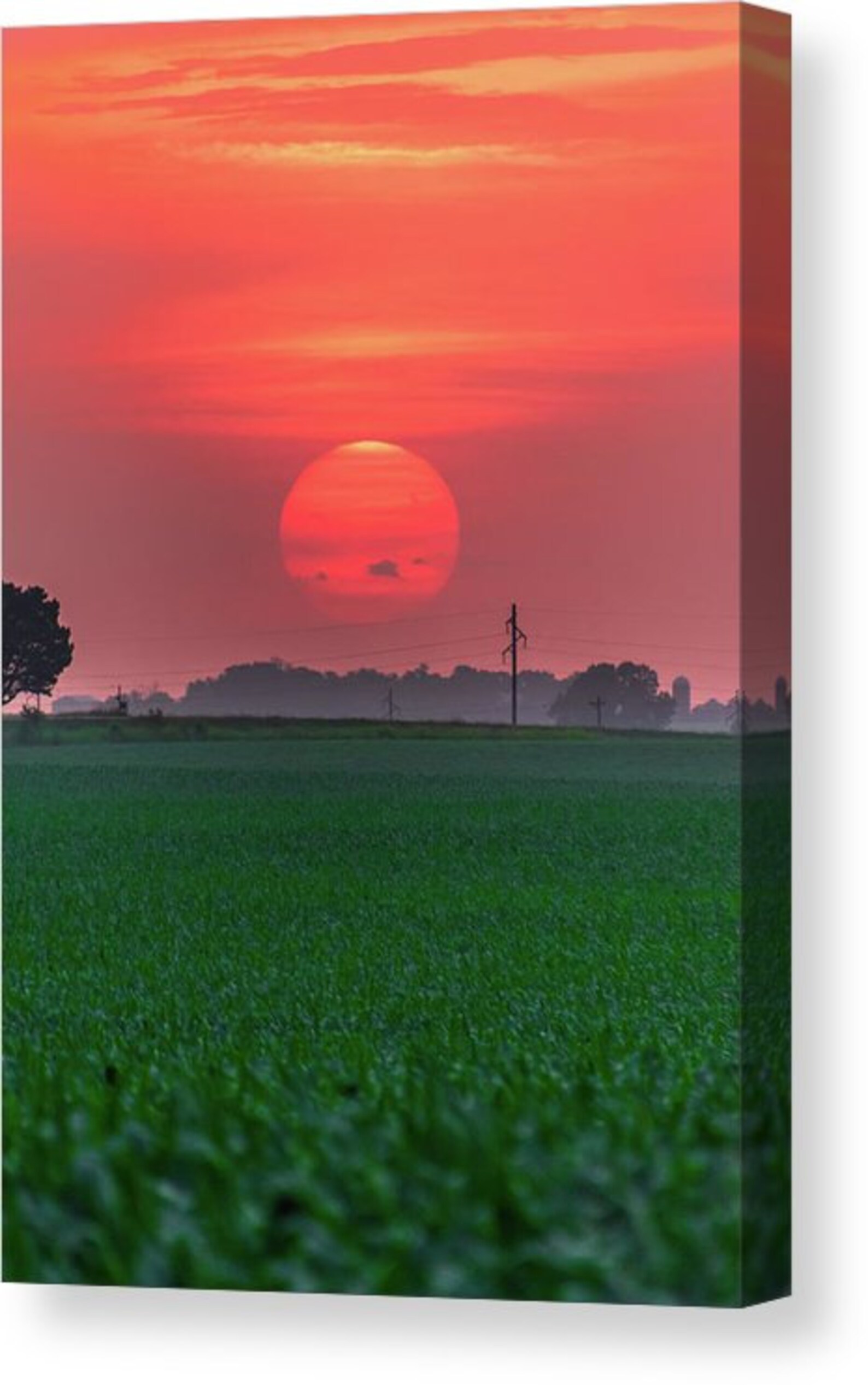 Sunrise over an Iowa cornfield Etsy