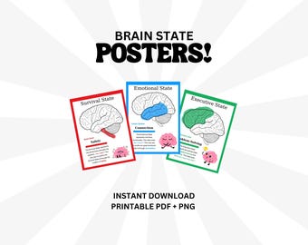 Brain States Anatomy Poster Printable Wall Art Human Anatomy Therapy Office Decor Child Development Psychology Mental Health School Print