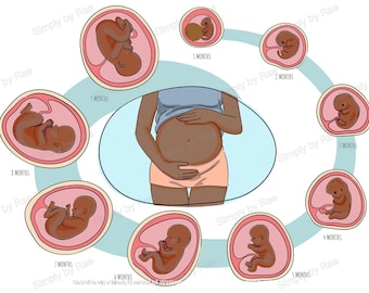 African American Prenatal Anatomy Fetus Infographic for Pregnancy Instant Download | Newborn Digital Clipart and Midwife Art Editable Poster