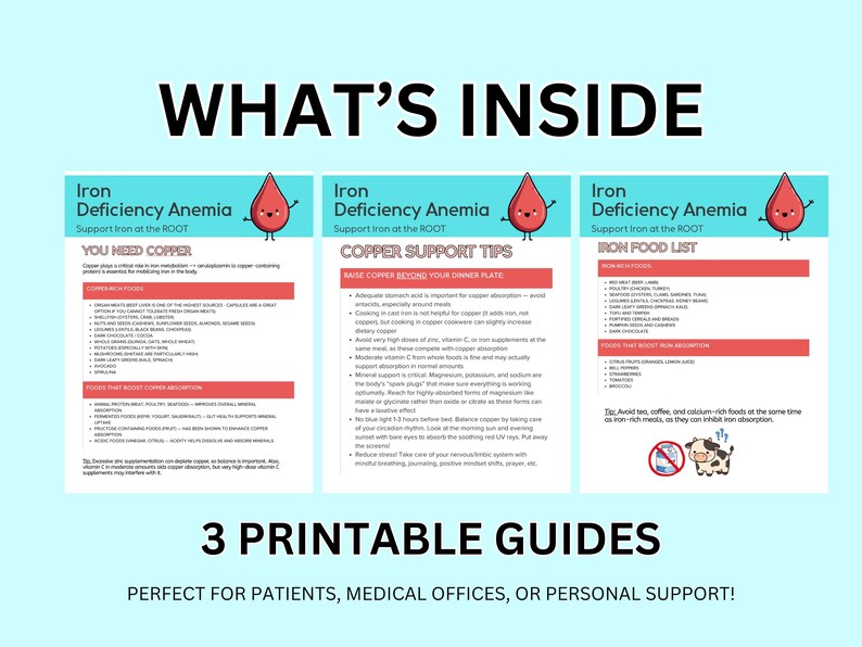 Iron Deficiency Anemia Food List | Copper Ceruloplasmin Support PDF ...