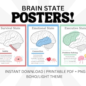 Póster de anatomía del cerebro imprimible PDF PNG Arte de pared Anatomía humana Terapia Decoración de oficina Desarrollo infantil Psicología Salud mental Impresión escolar