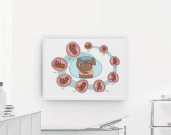 Prenatal African American Anatomy Fetus Infographic for Pregnancy Instant Download | Newborn Digital Clipart Midwife Art Editable Poster