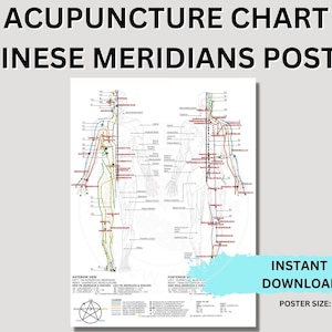 Five Elements Theory Chinese Meridians Chart Acupuncture Printable Instant Download Acupuncture Poster Digital Download 18" x 24" Wall Art