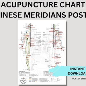 Five Elements Theory Chinese Meridians Chart Acupuncture Printable Instant Download Acupuncture Poster Digital Download 18" x 24" Wall Art