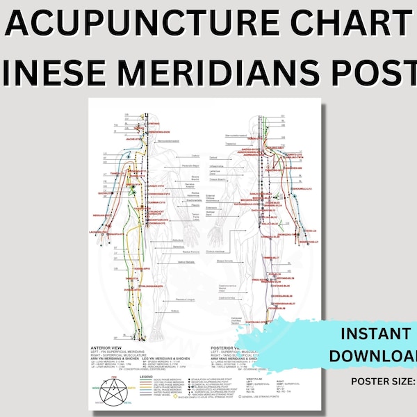 Five Elements Theory Chinese Meridians Chart Acupuncture Printable Instant Download Acupuncture Poster Digital Download 18" x 24" Wall Art