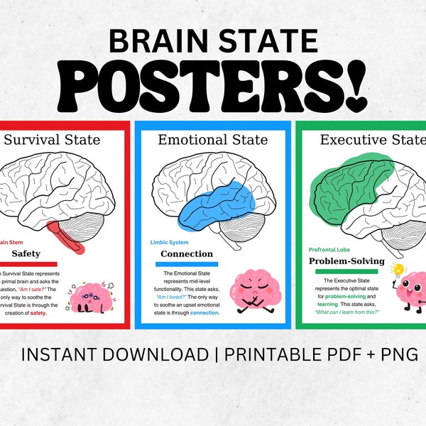 Brain Anatomy Poster Printable PDF PNG Wall Art Human Anatomy Therapy Office Decor Child Development Psychology Mental Health School Print