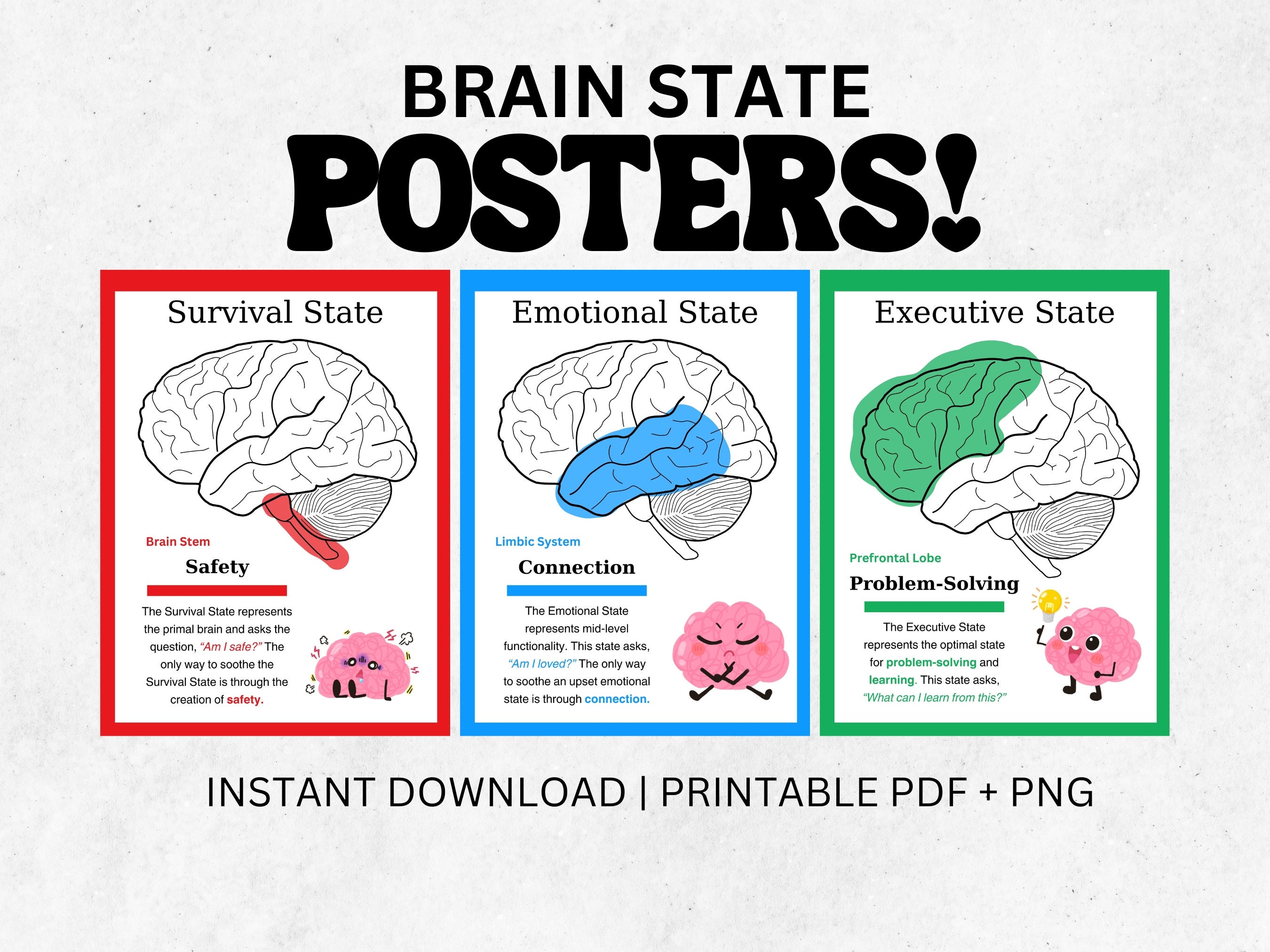 Brain Anatomy Poster Printable PDF PNG Wall Art Human Anatomy Therapy Office Decor Child Development Psychology Mental Health School Print