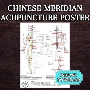 Five Elements Theory Chinese Meridian Chart Acupuncture Printable Instant Download Kinesiology Poster Digital Download 18&quot; x 24&quot; Wall Art Qi