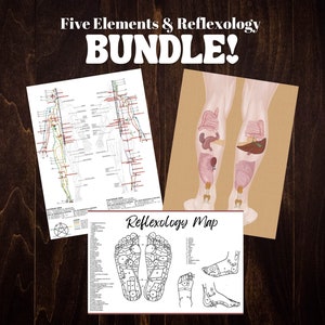 Vijf elementen theorie Chinese meridianen grafiek acupunctuur reflexologie afdrukbare bundel Instant Download poster digitale download pdf kunst aan de muur