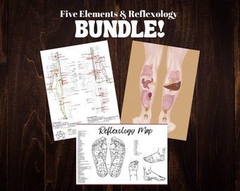 Acupuncture Meridians Chart: Five Elements Theory, Reflexology (Digital Download)