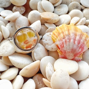 Hawaiian Shell Resin Ring, Stainless Steel, Beach Shell Ring, Rare Sunrise Shell Ring