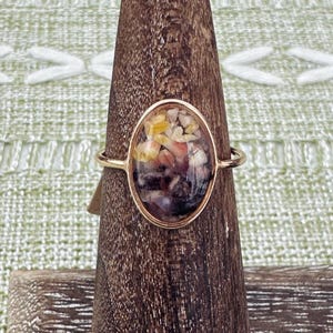 Hawaiian Sunset Shell Resin Ring, 14K Gold Fill, Beach Shell Ring, Rare Sunrise Shell Ring