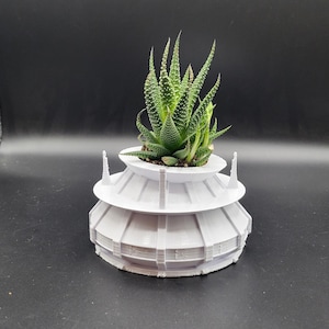 Könnte beinhalten: Weißer Keramik-Pflanztopf in Kuppelform mit einer grünen Sukkulente darin.