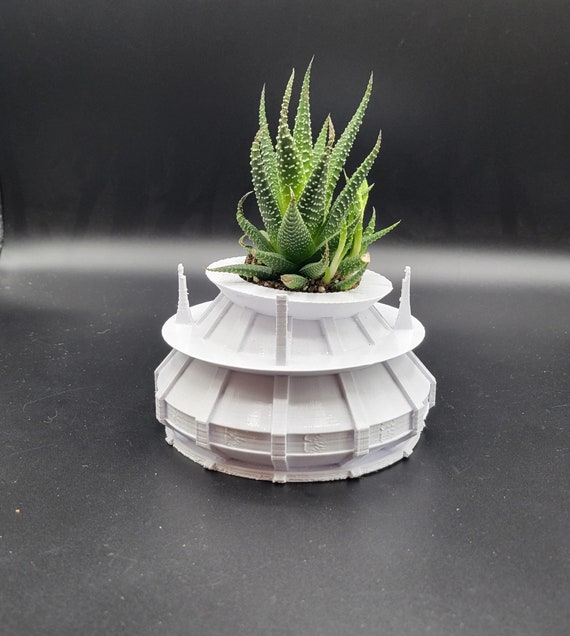 potted succulents Half Flat Special