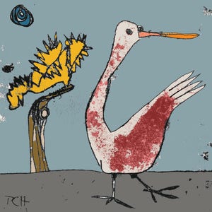 Swan print, bird print, swan art, signet drawing, baby swan, wild bird, nursery decor, cartoon bird, swan lake, gift for bird lover