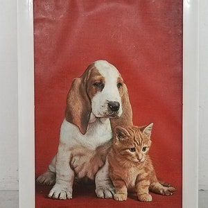 Vintage Kitschy &#39;Optical Illusion&#39; Art - 3D Puppy & Kitten Wall Hanging - Framed - 14x11 - Great for SO many reasons!