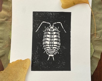 Isopod Print