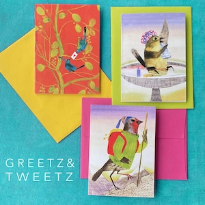 Oiseaux dans une boîte | Notes dans une boîte | Lot de 8 cartes de voeux