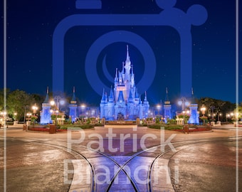 Thank You, and Goodnight - Photo Prints and Canvas Wraps, Magic Kingdom, Walt Disney World, Cinderella Castle