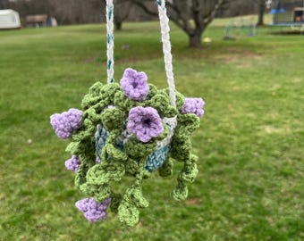 Fiore di gloria mattutina in cesto appeso