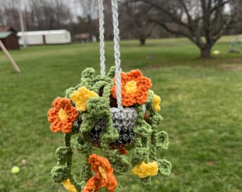 Blumenampel und Weinrebe