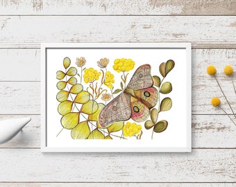 Moth wall art, Moth, Woodland animal print,A4 Art Print,Home Decor,Moth art, Floral wall art, Moth wall decoration, Kitchen Print