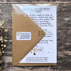 May include: A brown paper envelope with a white card inside. The card has instructions on how to plant flower seeds from paper. The text on the card reads "How to use plantable flower seed paper". The card also has an illustration of a garden with birds and flowers.