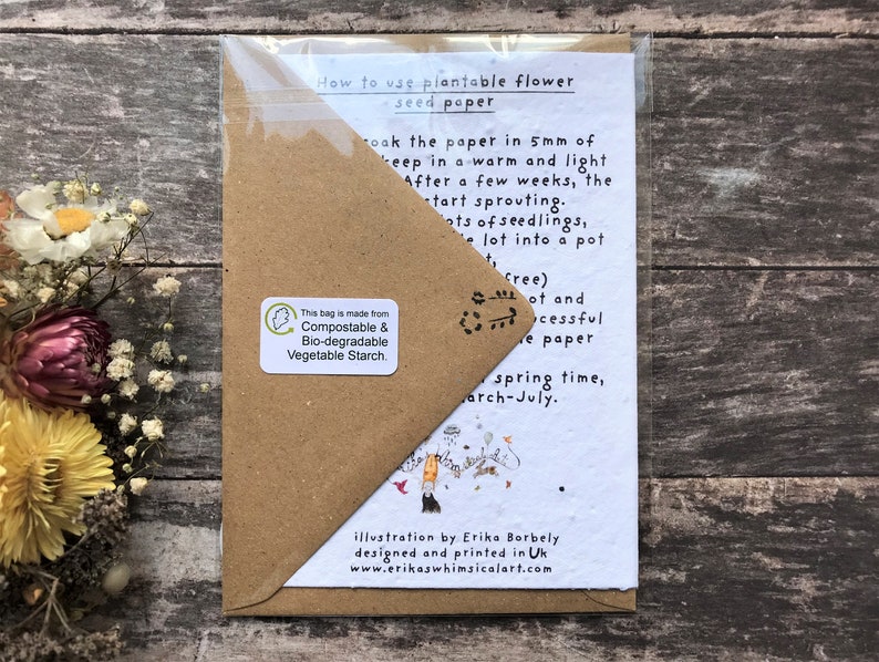 May include: A brown paper envelope with a white card inside. The card has instructions on how to plant flower seeds from paper. The text on the card reads "How to use plantable flower seed paper". The card also has an illustration of a garden with birds and flowers.