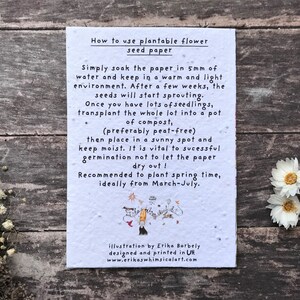 May include: White card with black text explaining how to use plantable flower seed paper. The text includes instructions on soaking the paper in 5mm of water, keeping it in a warm and light environment, and transplanting the seedlings into a pot of compost. The card also includes a small illustration of a flower.