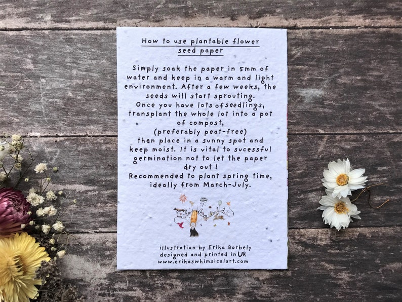 May include: White card with black text explaining how to use plantable flower seed paper. The text includes instructions on soaking the paper in 5mm of water, keeping it in a warm and light environment, and transplanting the seedlings into a pot of compost. The card also includes a small illustration of a flower.