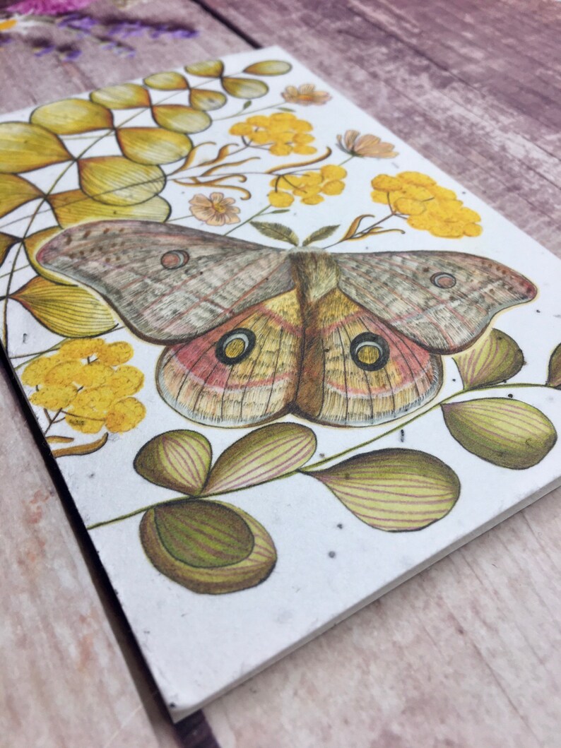 plantable seed paper birthday card blank inside flower