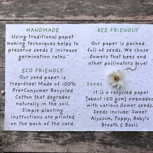 May include: Handmade seed paper card with a white flower and text that reads "Handmade using traditional paper making techniques helps to preserve seeds & increase germination rates." "ECO FRIENDLY Our seed paper is tree-free! Made of 100% Pre Consumer Recycled Cotton that degrades naturally in the soil. Simple planting instructions are printed on the back of the card." "BEE FRIENDLY Our paper is packed full of seeds. We chose flowers that bees and other pollinators love! Seeds It is a recycled paper (about 150 gsm) embedded with various flower seeds. Seeds include: Sweet Alyssum, Poppy, Baby's Breath & Basil."