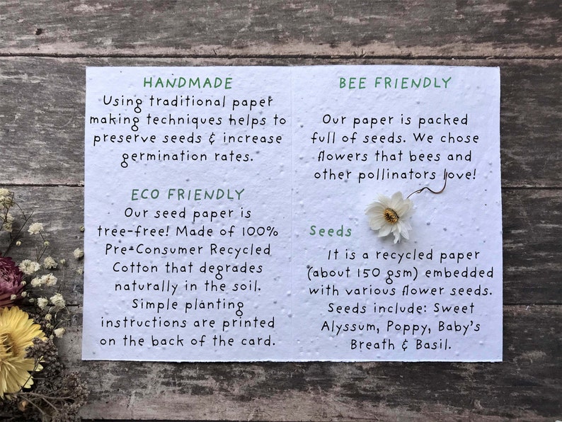 May include: Handmade seed paper card with a white flower and text that reads "Handmade using traditional paper making techniques helps to preserve seeds & increase germination rates." "ECO FRIENDLY Our seed paper is tree-free! Made of 100% Pre Consumer Recycled Cotton that degrades naturally in the soil. Simple planting instructions are printed on the back of the card." "BEE FRIENDLY Our paper is packed full of seeds. We chose flowers that bees and other pollinators love! Seeds It is a recycled paper (about 150 gsm) embedded with various flower seeds. Seeds include: Sweet Alyssum, Poppy, Baby's Breath & Basil."