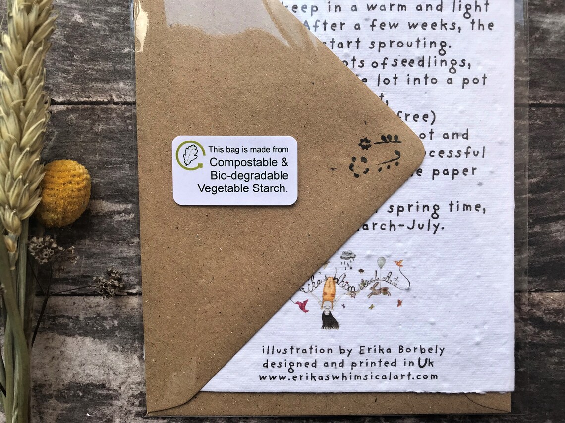 Seed Paper Birthday Card Blank Insidepigsquirky pigquirky Etsy