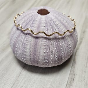 May include: A gold-colored, wavy-edged bracelet rests on a light purple sea urchin shell. The shell has a textured surface with small white dots. The background is a light gray wooden surface.