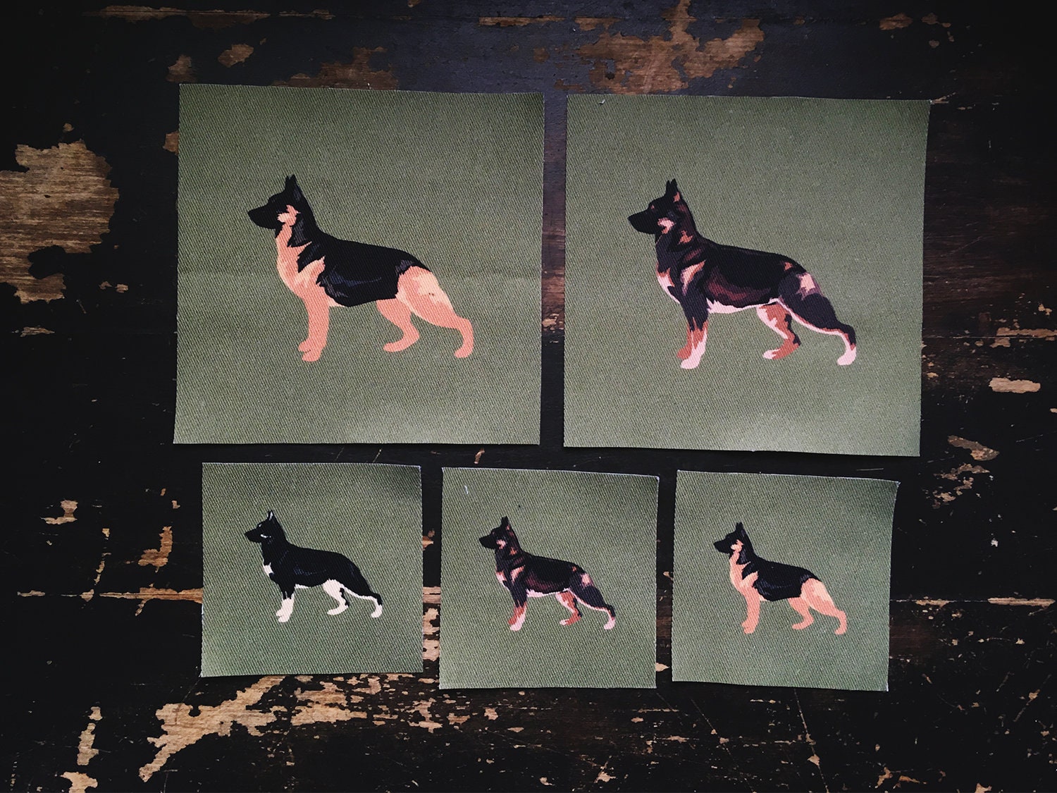 german shepherd presents