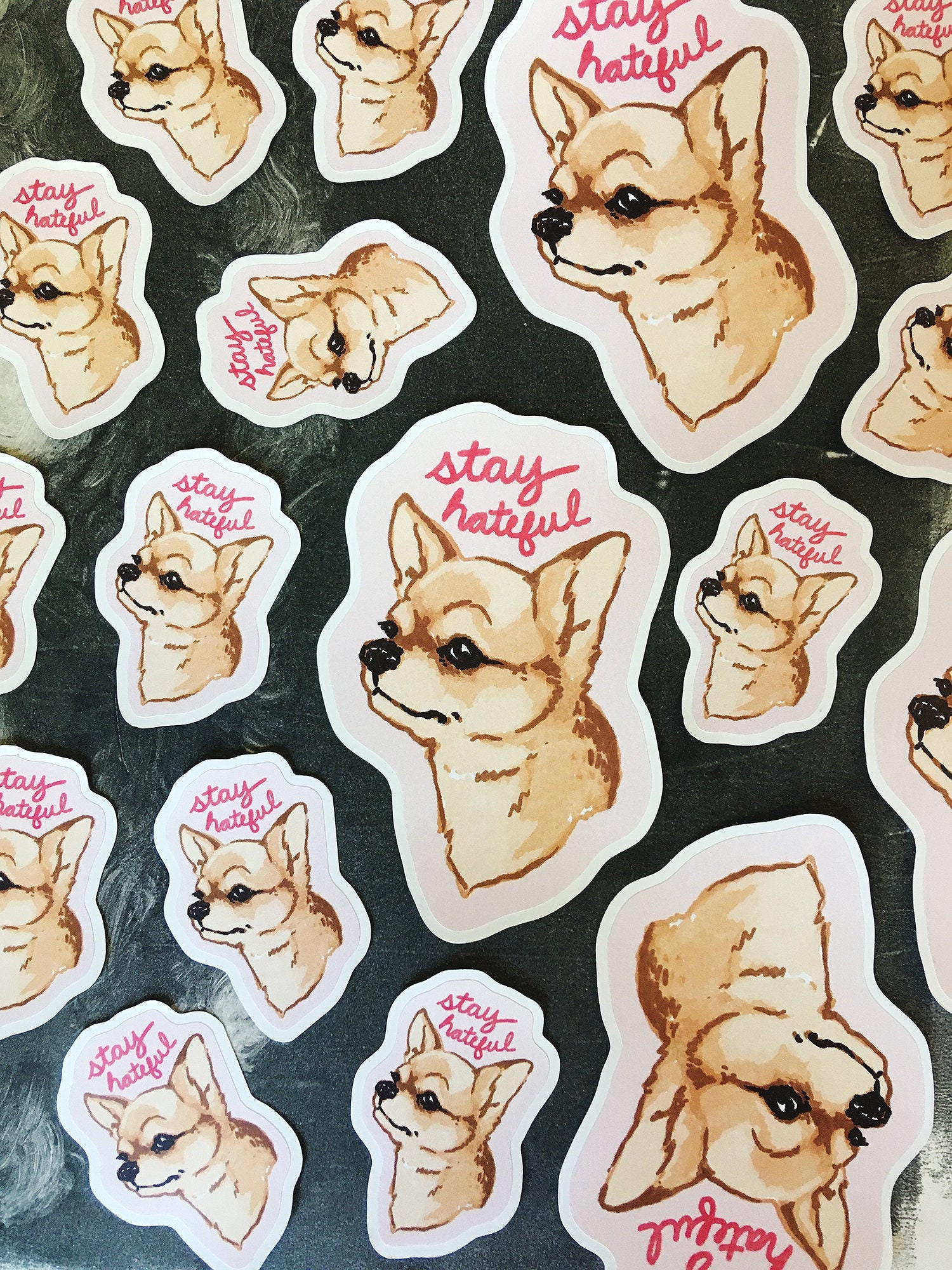 stay hateful chihuahua sticker for laptops, phones, cars, water bottl…